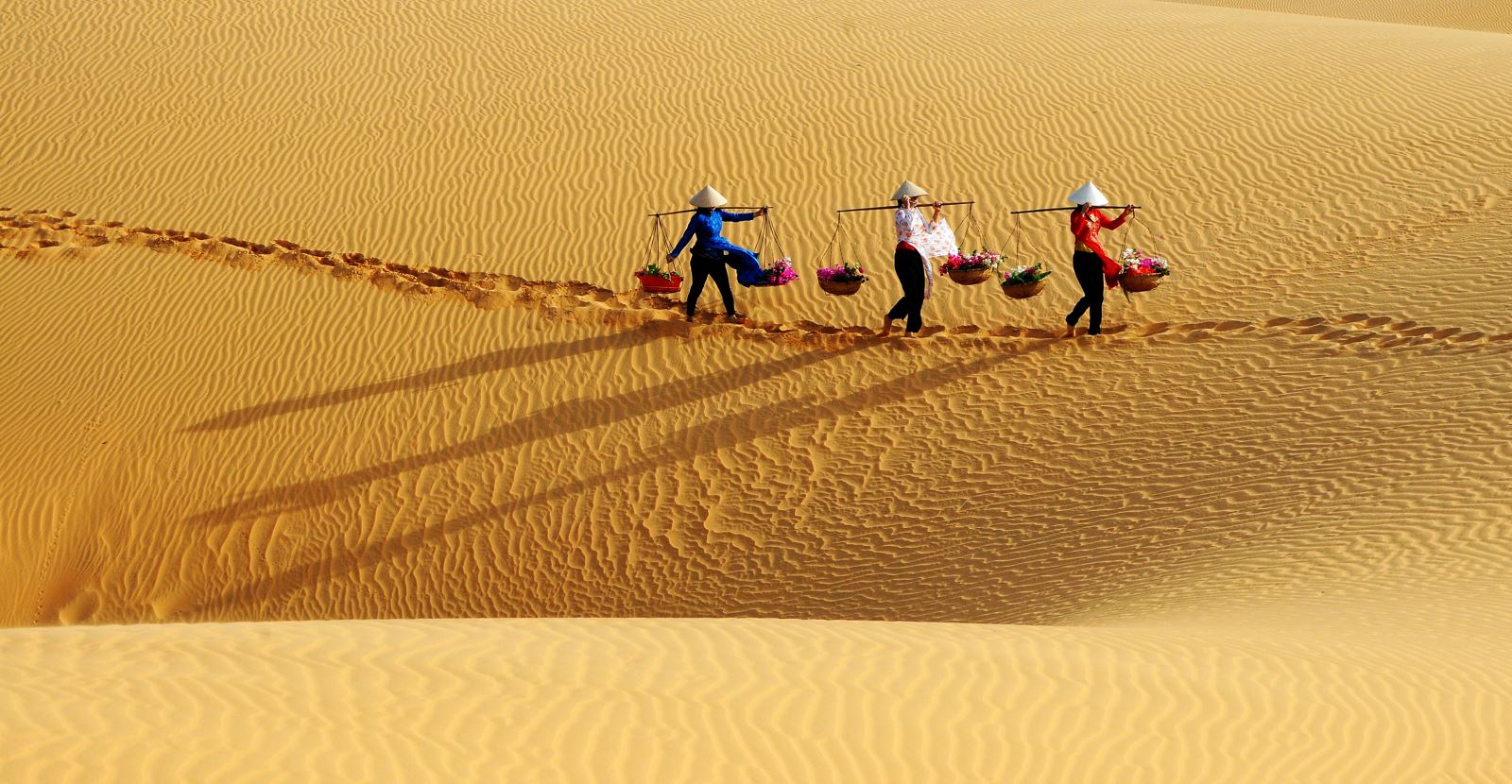 dune-di-sabbia