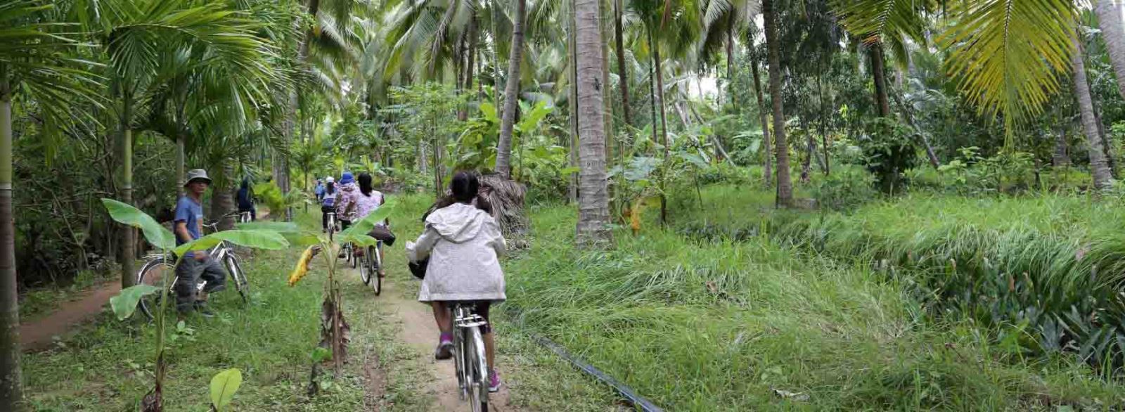 Escursioni in bicicletta sulle isole poco conosciute dei viaggiatori